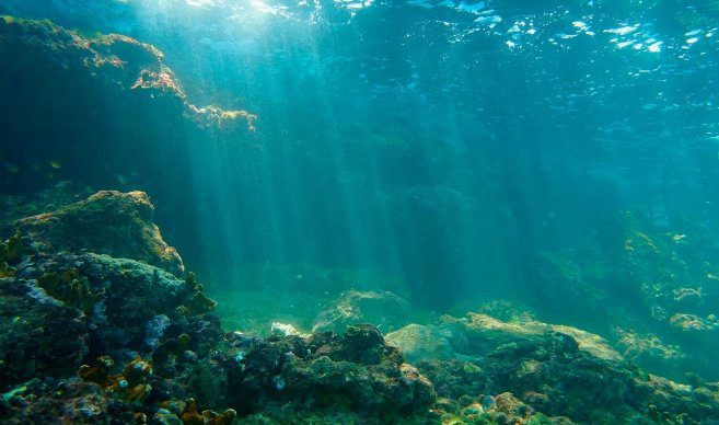 Científicos alertan de rápido deterioro de ecosistemas marinos