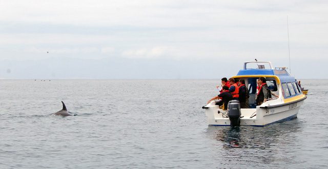 Sernapesca inauguró primera embarcación de vigilancia para reservas marinas de Islas Choros e Isla Chañaral de Aceituno