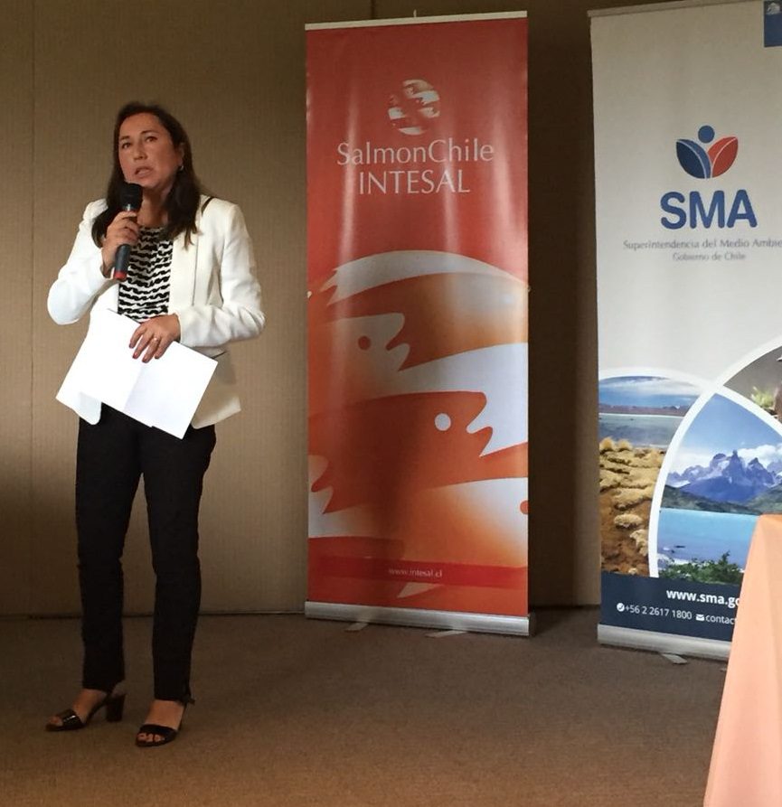 SMA convocó a salmonicultoras en taller de asistencia al cumplimiento ambiental