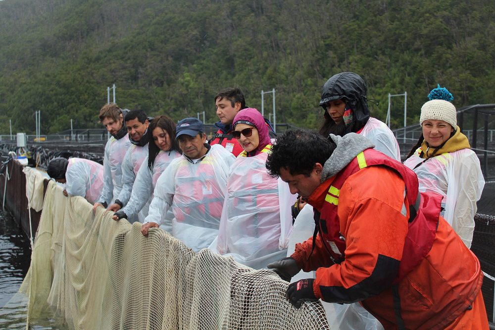Puerto Natales: valoran visita de comunidad Kawésqar a centro de Australis Seafoods