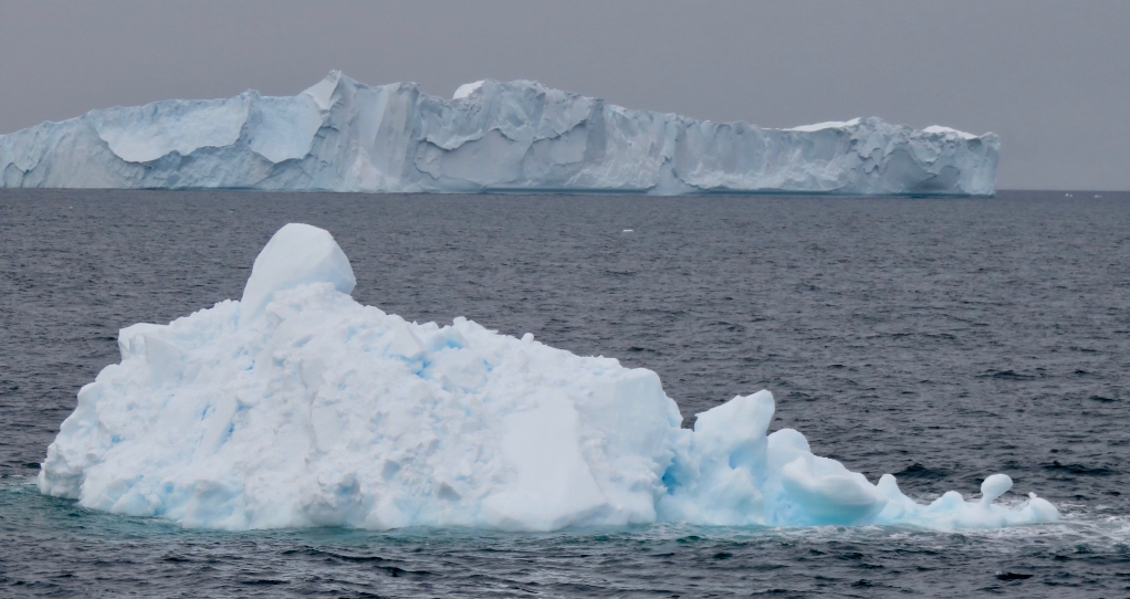 Con éxito culmina investigación Antártica liderada por la PUCV