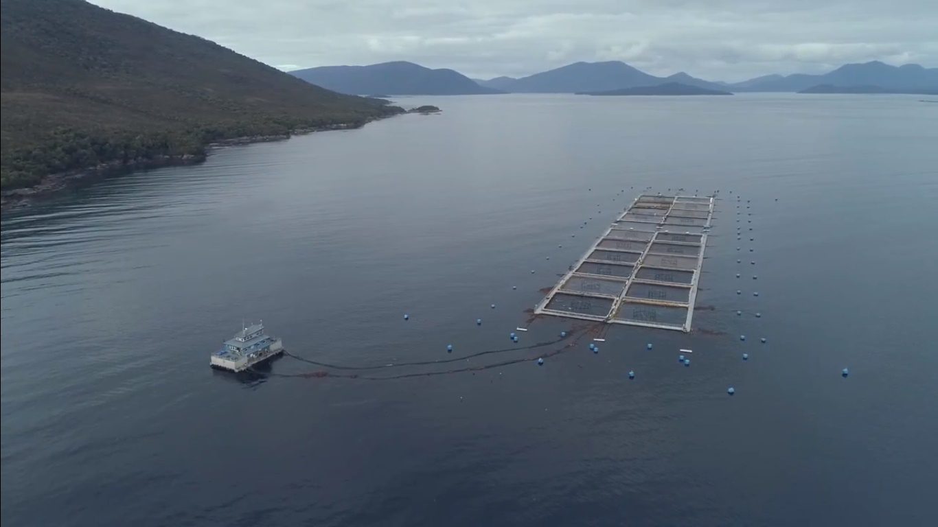 Centro Midhurst de Blumar: primero en cultivar salmones sin antibióticos en la región de Aysén