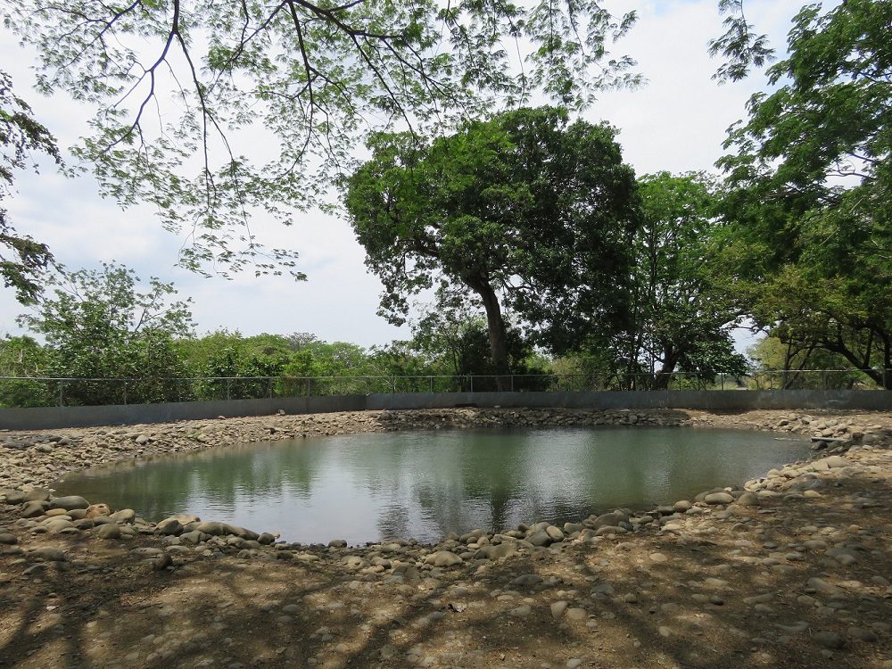 Las iniciativas medioambientales por las que destaca la filial de AquaChile en Costa Rica
