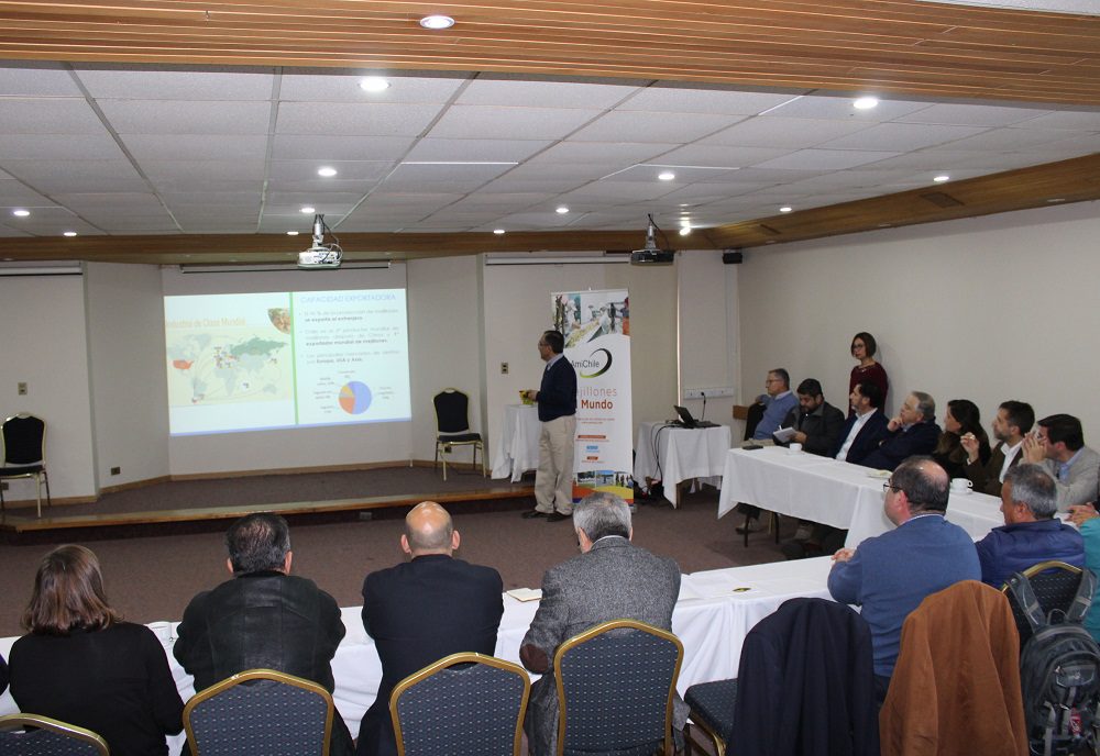 Autoridades, empresas y comunidades abordaron desafíos de la industria mitilicultora en Chiloé
