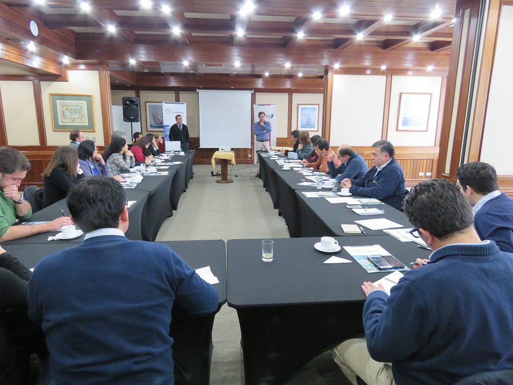 Programa Estratégico Logístico Centro Sur realiza su Consejo Directivo en Puerto Montt