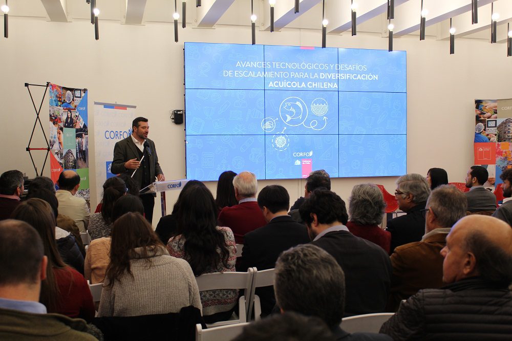 Summit Acuícola reúne casos colaborativos y desafíos para diversificar el sector