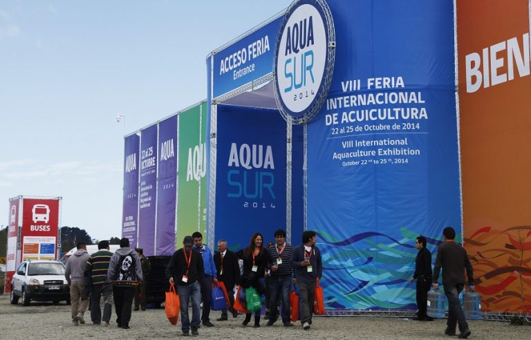 Sector acuícola expectante por décima versión de feria Aqua Sur