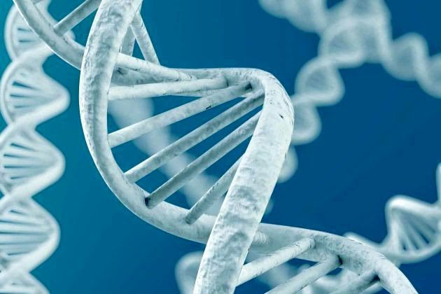 Abordarán genómica aplicada al mejoramiento genético de resistencia a enfermedades en salmónidos