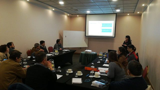 Comité Ciencia y Tecnología del Mejillón de Chile revisó avance de consultorías