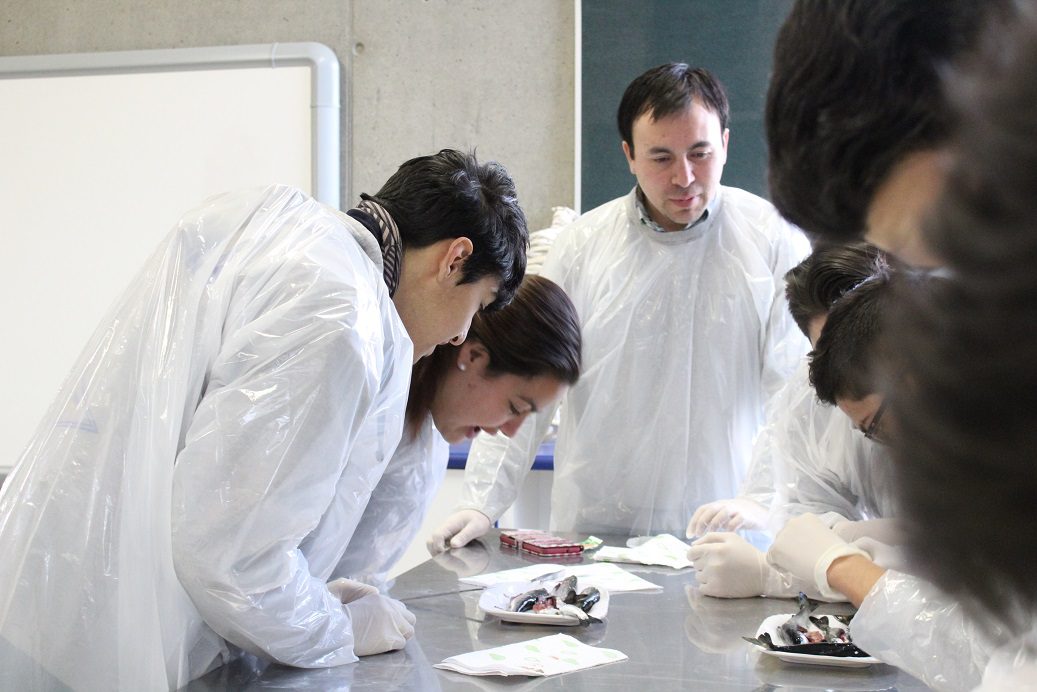 Salmonicultores realizan taller sobre anatomía del salmón a estudiantes de Punta Arenas