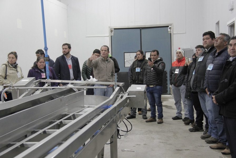 SalmonChile organizó visita a planta de proceso de mitilidos junto a pesca artesanal y Sercotec