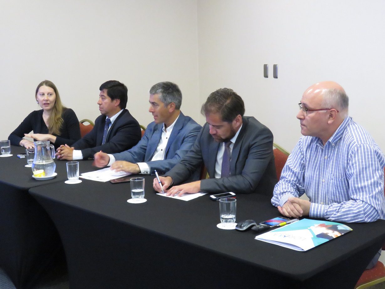 Empresas chilenas de servicios acuícolas avanzan para expandir sus operaciones a Perú
