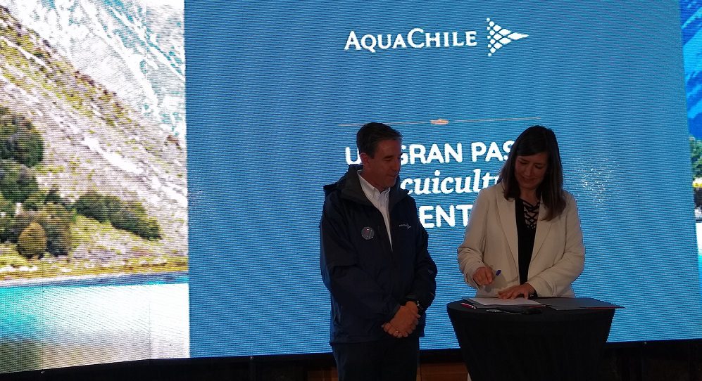 AquaChile concretó el cierre de sus centros de cultivo en los lagos del sur de Chile