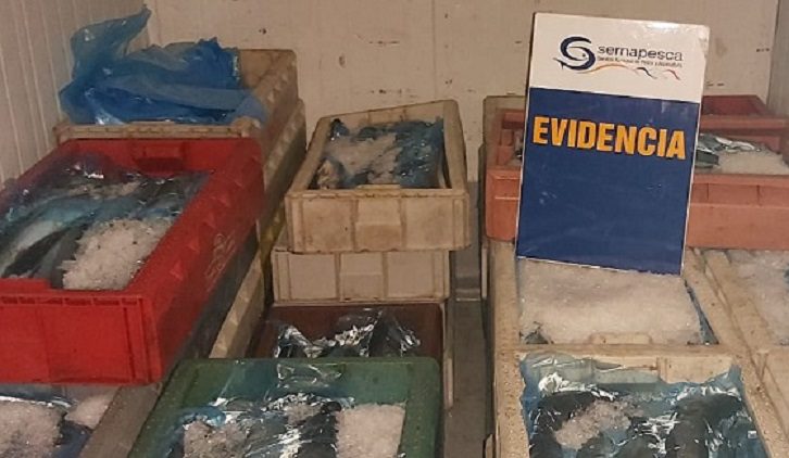 Sernapesca y Carabineros detectaron transporte ilegal de casi 6 toneladas de merluza austral