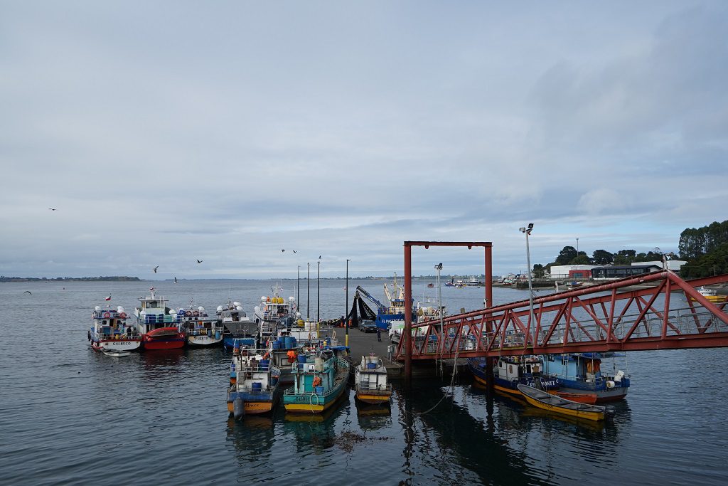 Con perspectiva regional pescadores artesanales analizaron “Ley de caletas”