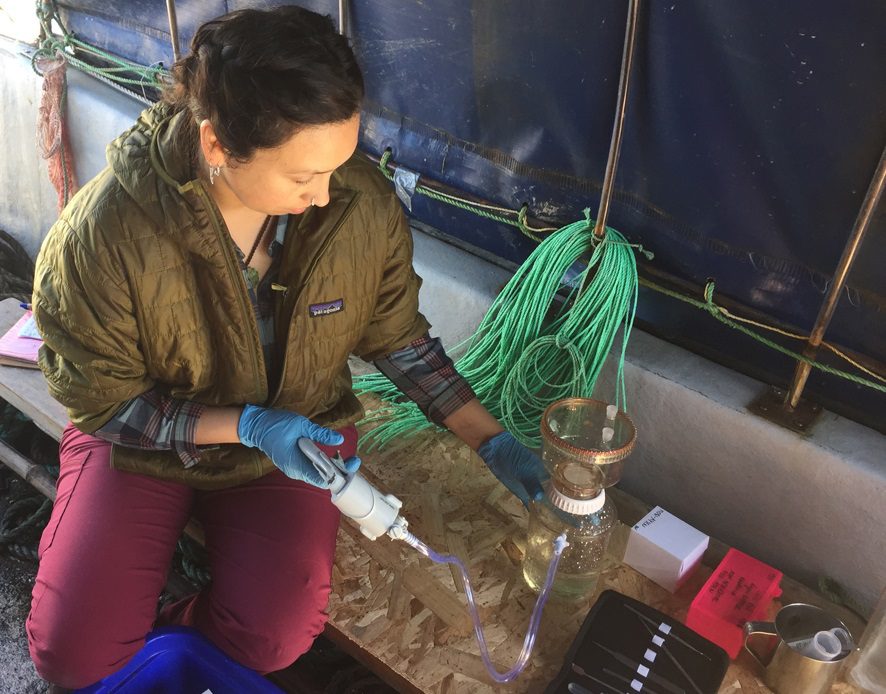 MOBI-Aysén: El laboratorio genético para el monitoreo de biodiversidad acuática