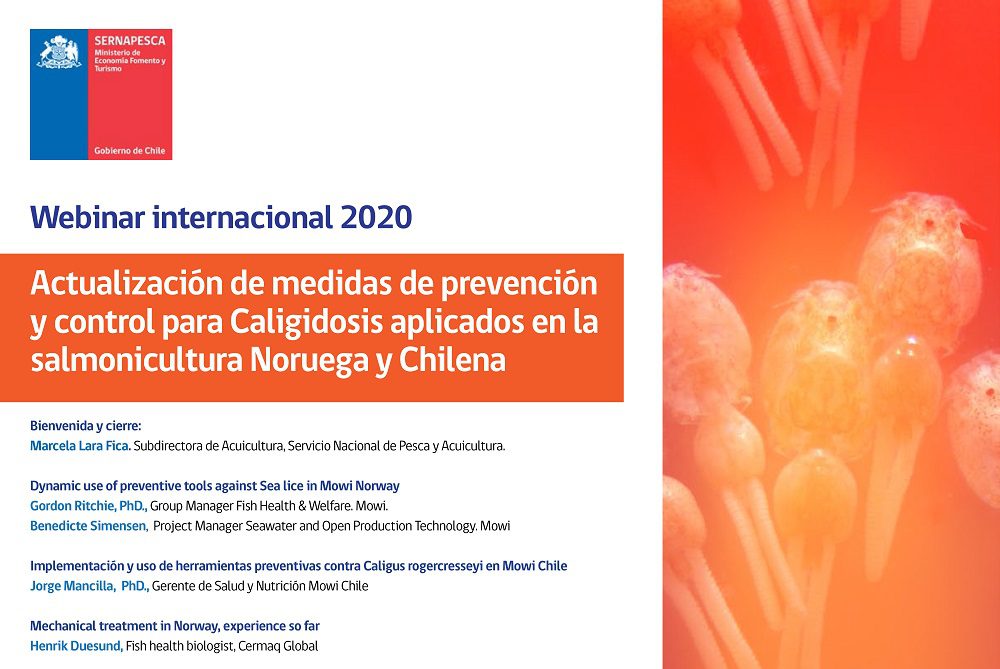 Sernapesca invita a webinar internacional sobre prevención y vigilancia de la Caligidosis