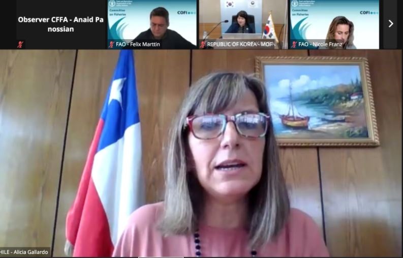 Autoridades chilenas participan en tercera jornada del Comité de Pesca de la FAO