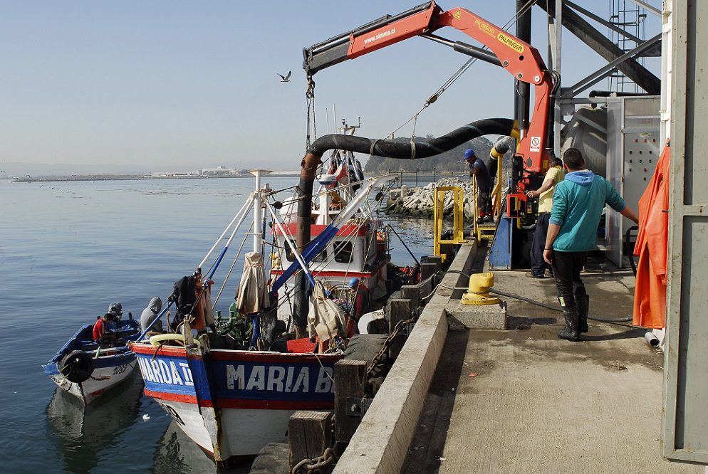 Pesca industrial inicia temporada de sardina y anchoveta artesanal