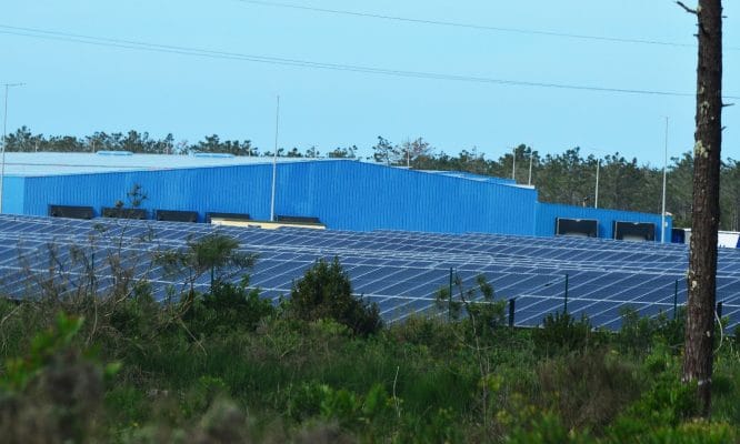 Un poco antes de llegar, cientos de paneles solares evidencian que la búsqueda de sustentabilidad es una realidad concreta en esta empresa.
