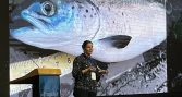Comparten claves para fortalecer la esmoltificación y el bienestar del salmón