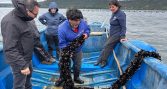 INDESPA fortalece el desarrollo de la APE en Chiloé
