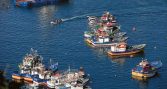 Subpesca da por favorable ECMPO de 44 mil hectáreas bajo Ley Lafkenche