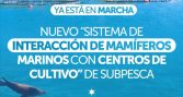 Subpesca activa sistema para monitorear mamíferos marinos en centros acuícolas