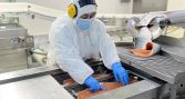 Salmón chileno mantiene su posición como segundo producto exportado del país en 2025