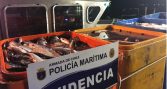 Detienen a imputado por robo y comercialización de salmones en centro de Salmones Antártica