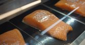 Rusia lideró el crecimiento entre los grandes mercados del salmón chileno en 2025