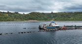 Camanchaca implementa nueva logística marítima para su negocio de mejillones