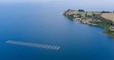 Abren debate sobre continuidad de la salmonicultura en el Lago Llanquihue