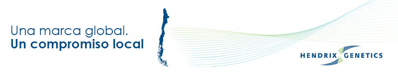 Banner Hendrix Genetics Chile
