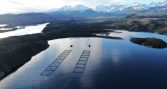 Salmonicultores de Magallanes destacan proyecto científico inédito para optimizar la gestión productiva y sanitaria de la acuicultura regional