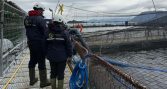 Fiscalizan a la pesca y acuicultura en Área de Conservación Pitipalena-Añihue
