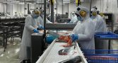 Planta Fitz Roy: Tecnología y eficiencia para optimizar el procesamiento del salmón