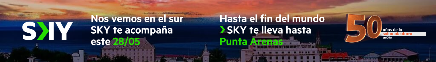 Banner SKY Airline Empresas