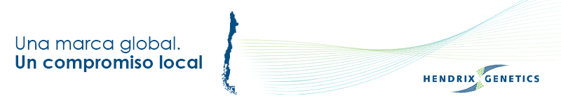 Banner Hendrix Genetics Chile