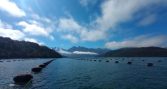Investigación revela variaciones locales en disponibilidad de larvas de chorito en la Patagonia norte