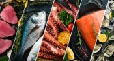 Webinar de MSD Animal Health analizará desempeño del seafood en retail de EE.UU. durante 2026