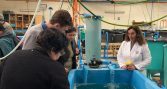 UCN impulsa tecnología Biofloc para optimizar el uso de agua en la acuicultura de la Región de Coquimbo