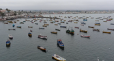 Estudio revela que el hierro puede aumentar la producción de toxinas en microalgas presentes en la bahía de Tongoy