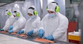 Exportaciones de salmón chileno a Rusia caen 47,1% en volumen durante enero-abril de 2026
