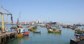 Exportaciones pesqueras y acuícolas aumentan 12,1% a febrero y superan promedio de cinco años