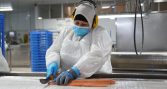 Acuicultura chilena aumentó 4% sus cosechas durante 2025 y superó los 1,5 millones de toneladas