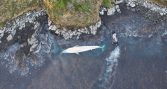 Sernapesca y Armada realizan registro y toma de muestras de ballenas varadas en Bahía Hately