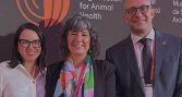 Expertas de FAVET integran panel asesor de conferencia mundial de FAO sobre Una Salud