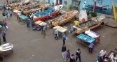 IFOP participa en el desarrollo de innovadora herramienta para la gestión pesquera nacional