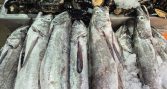 Sernapesca Los Ríos invita a la ciudadanía a respetar la veda de la merluza austral “Para que no se agote, tiene que pasar agosto”
